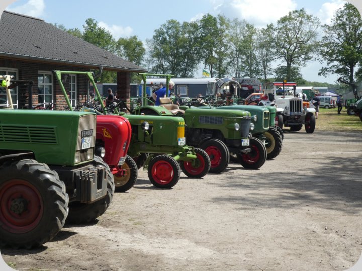dorffest_2022_1__75_.jpg