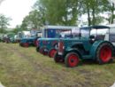 dorffest_2022_1__30_.jpg
