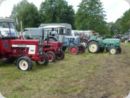 dorffest_2022_1__38_.jpg