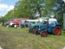 dorffest_2022_1__40_.jpg