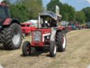 dorffest_2022_1__53_.jpg