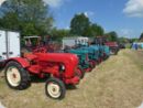 dorffest_2022_1__57_.jpg