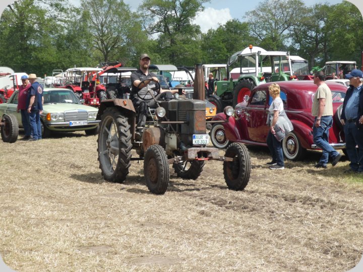 dorffest_2022_2__35_.jpg