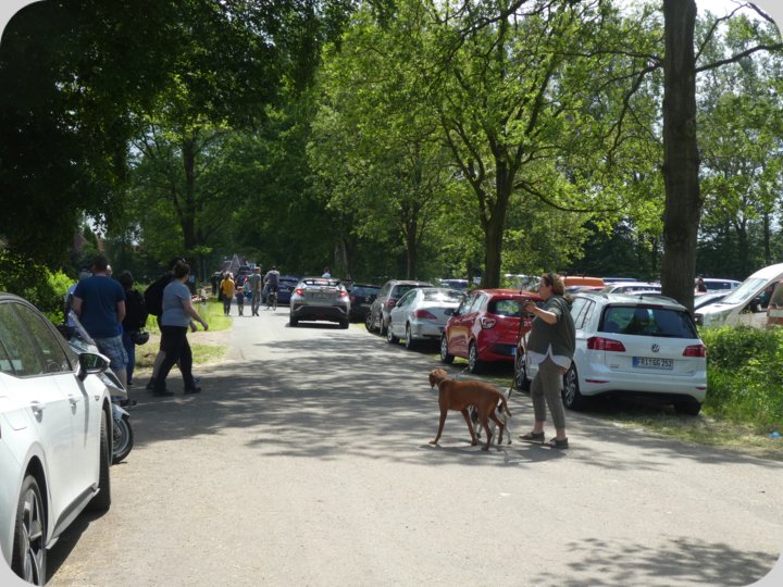 dorffest_2022_2__40_.jpg