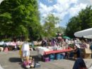 dorffest_2022_2__8_.jpg
