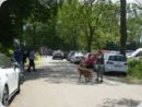 dorffest_2022_2__40_.jpg
