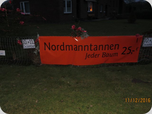 dorfweihnacht2016__50_.jpg