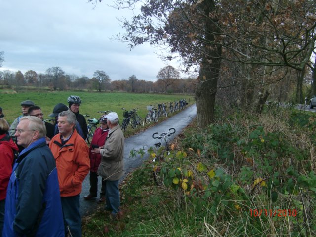 radweg_008.jpg