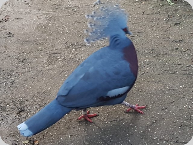 emmen__11_.jpg