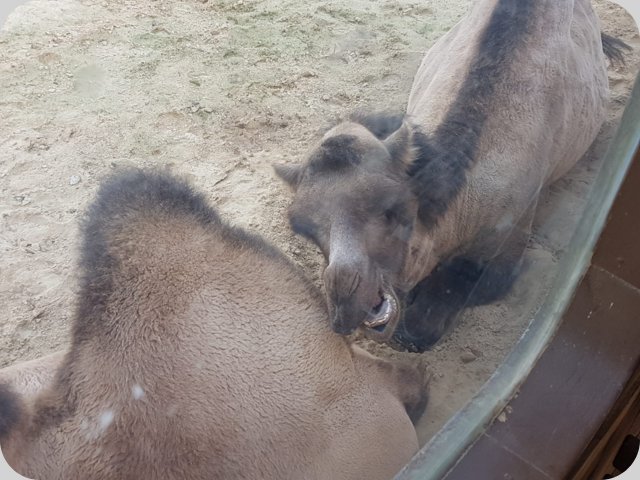 emmen__2_.jpg