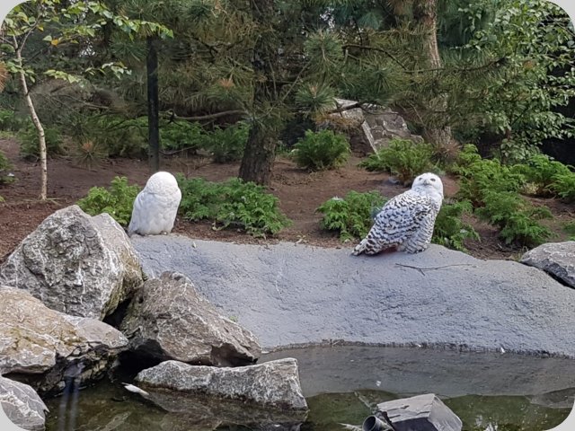 emmen__31_.jpg